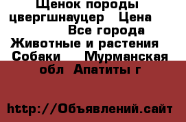 Щенок породы  цвергшнауцер › Цена ­ 30 000 - Все города Животные и растения » Собаки   . Мурманская обл.,Апатиты г.